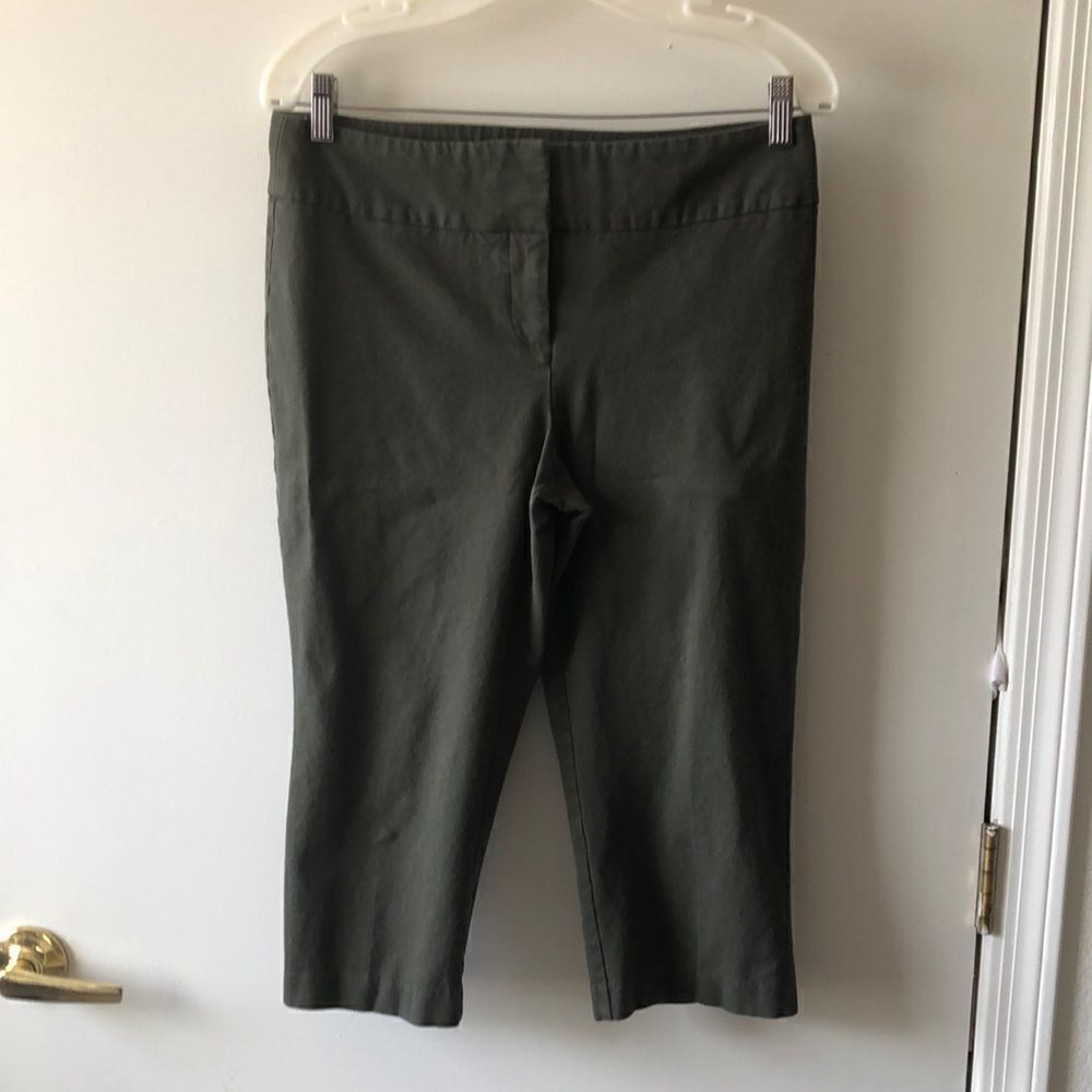 Laura Ashley Petites Capri Size 6p Olive GUC